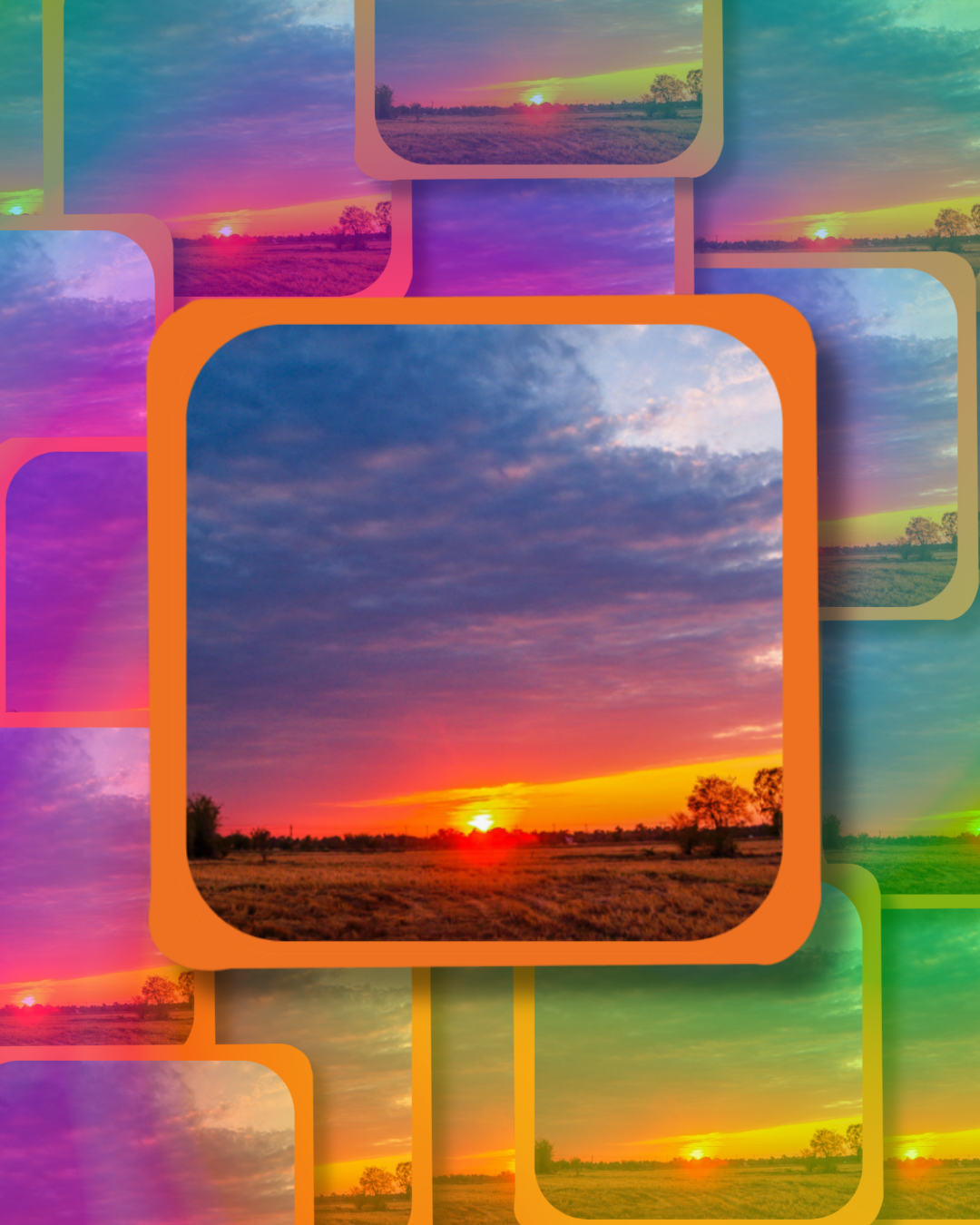 Forest Sunset Vinyl Sticker