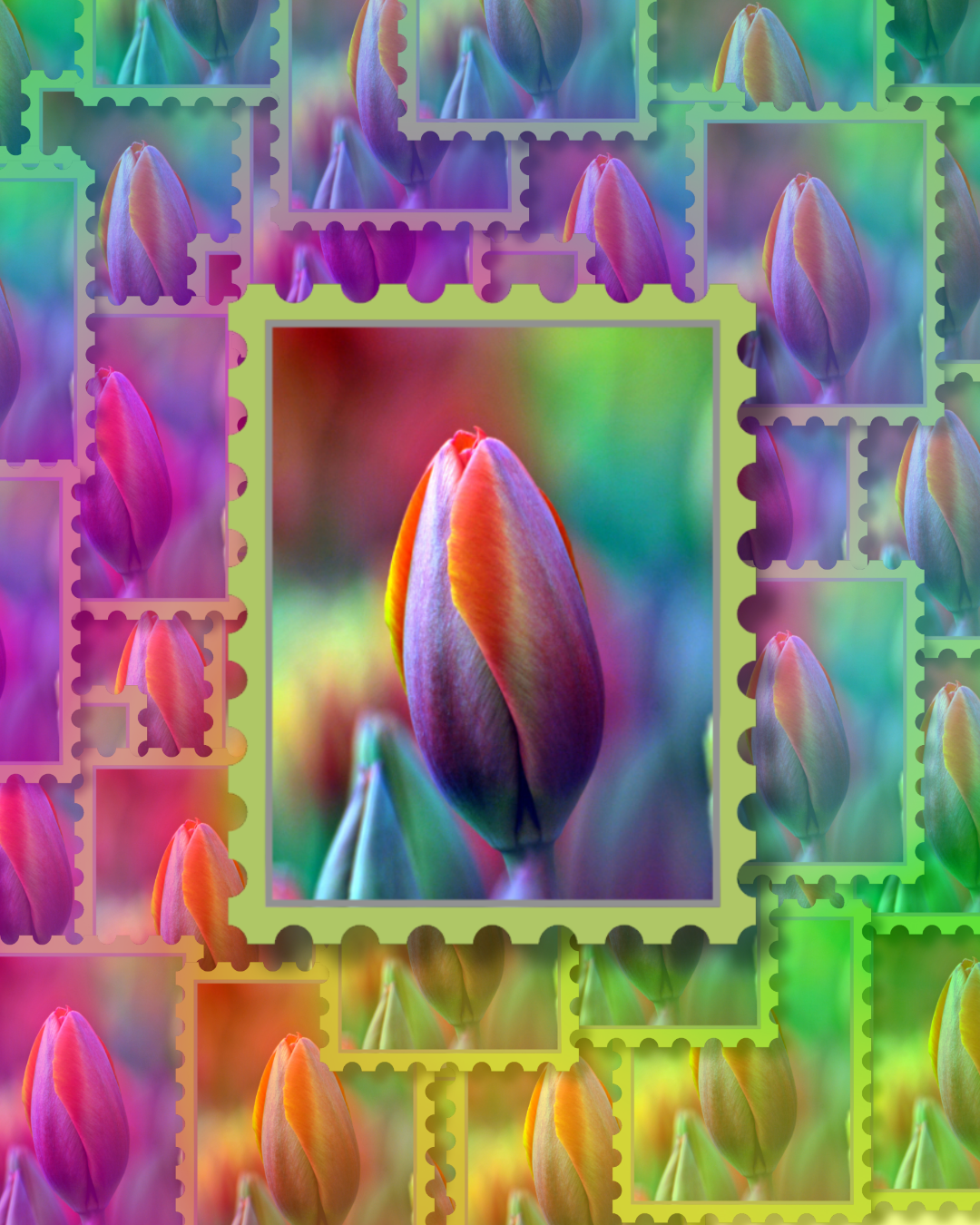 Multicolor Tulip Vinyl Sticker