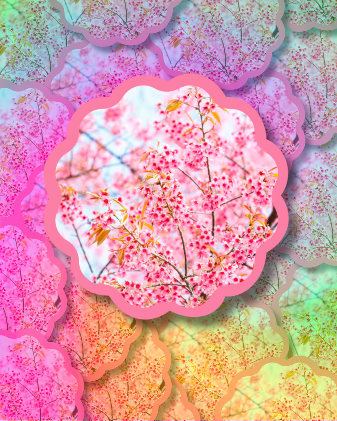 Sakura Sky Vinyl Sticker