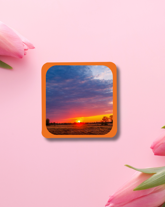 Forest Sunset Vinyl Sticker