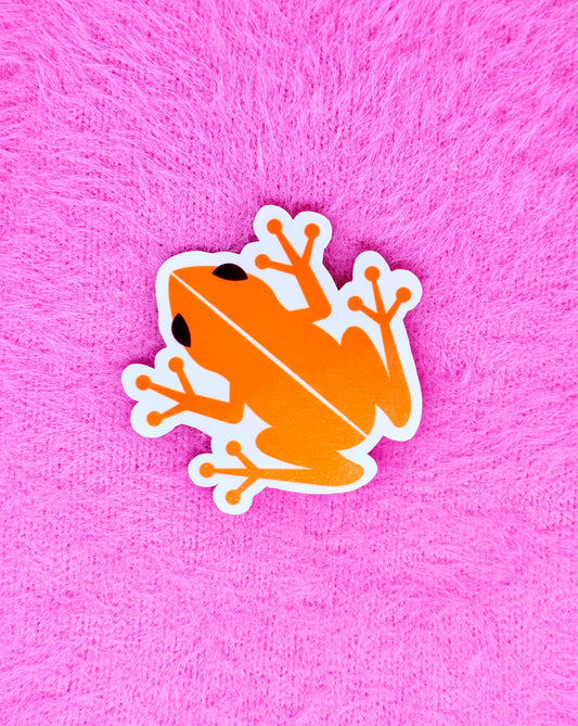 Coqui Dream Vinyl Sticker