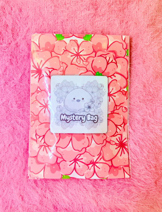 Oops Mystery Grab Bags Stationery Journaling, Discount Surprise Pack