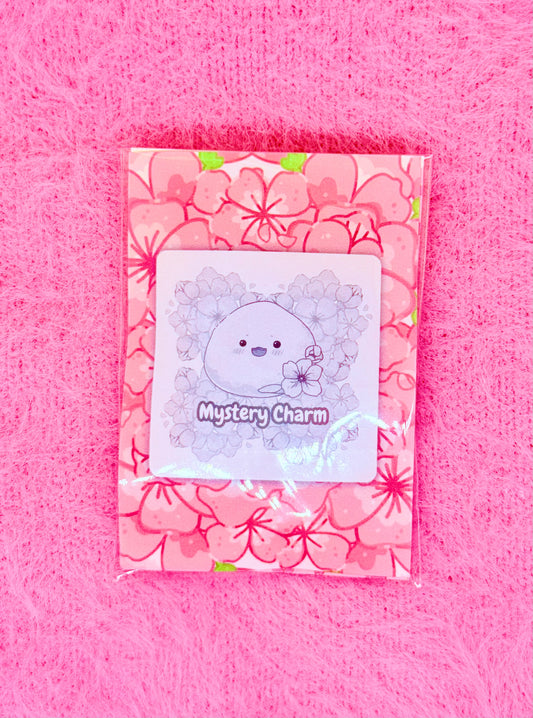 Mystery Charm