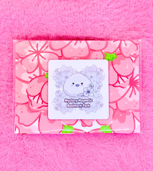 Mystery Magnetic Bookmark Pack