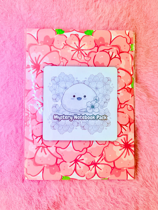 Mystery Notebook Pack