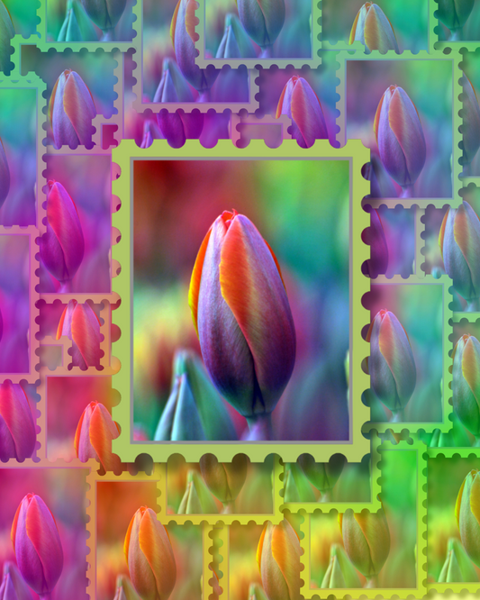 Multicolor Tulip Vinyl Sticker