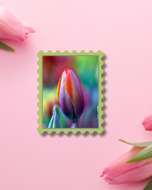 Multicolor Tulip Vinyl Sticker