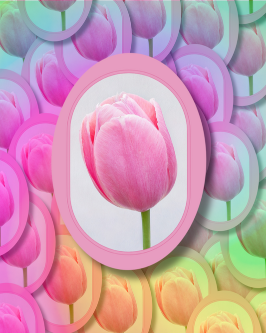 Pink Tulip Vinyl Sticker